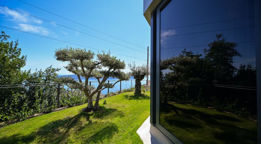 Photo of Emerald Echo