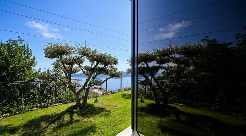 Photo of Emerald Echo