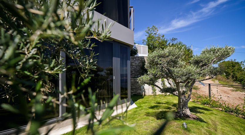 Photo of Emerald Echo