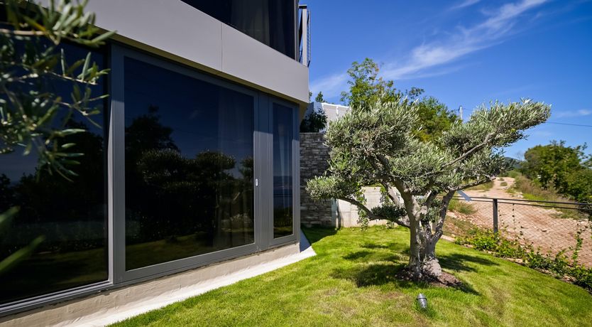 Photo of Emerald Echo