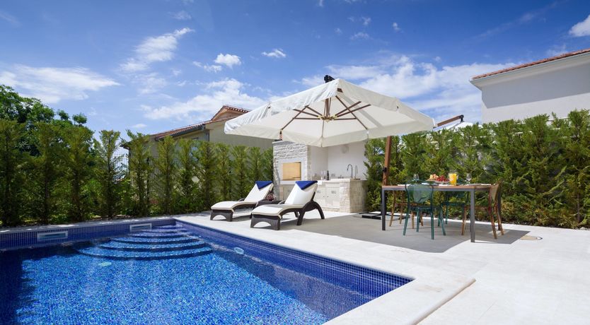 Photo of Little Dove