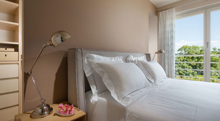 Photo of Little Dove