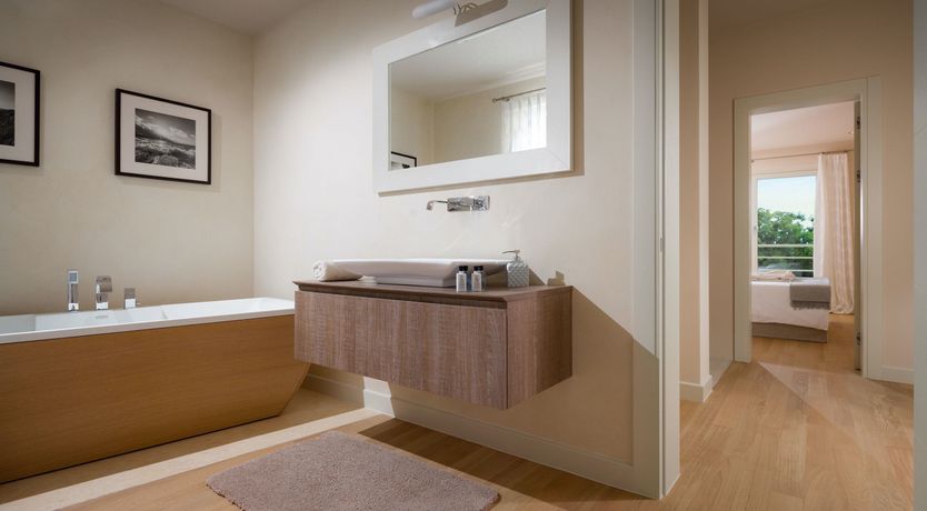 Photo of Little Dove