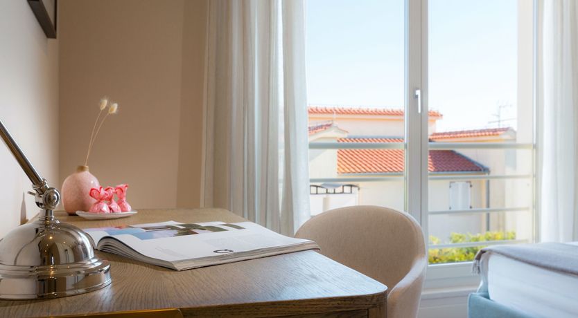 Photo of Little Dove