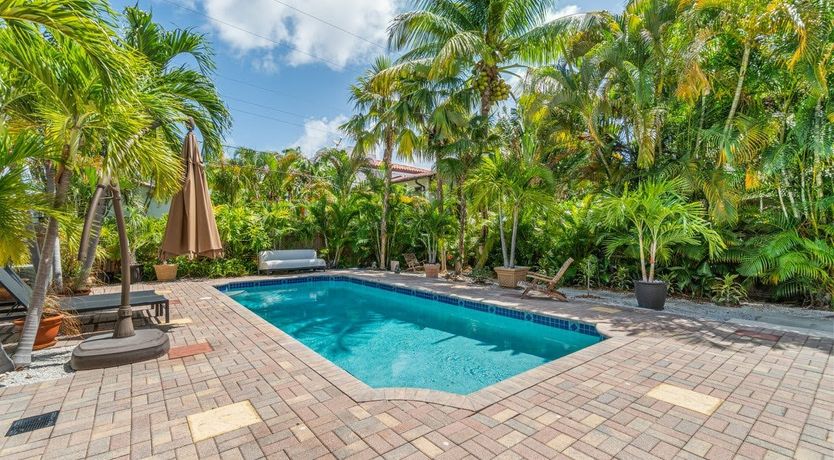 Photo of Palm to Palm