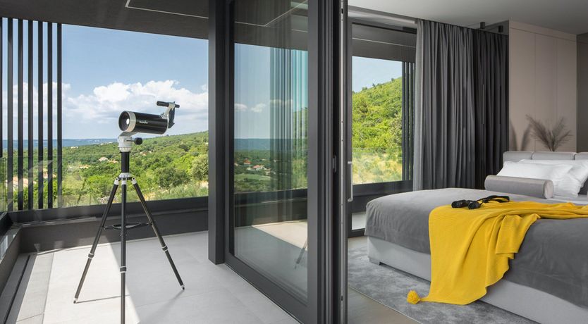 Photo of The Tomato Tree