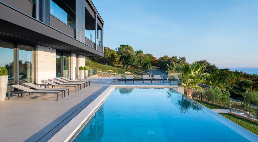 Photo of The Tomato Tree