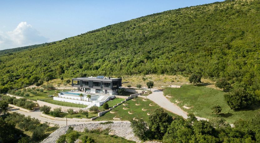 Photo of The Tomato Tree