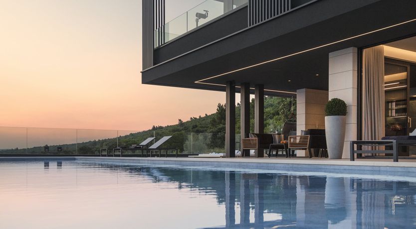 Photo of The Tomato Tree