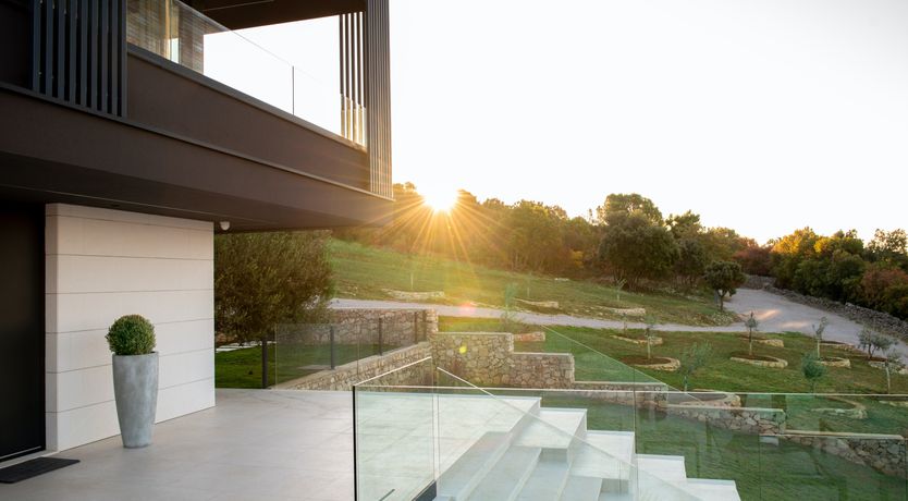 Photo of The Tomato Tree