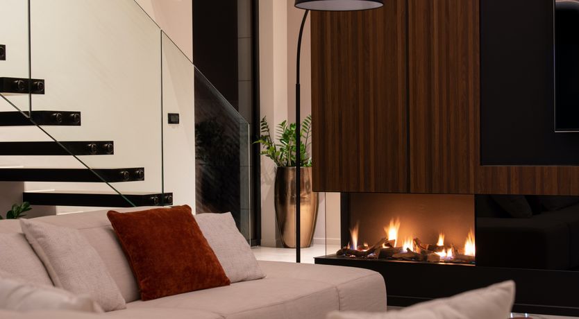 Photo of The Tomato Tree