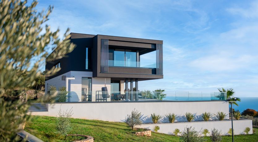 Photo of The Tomato Tree