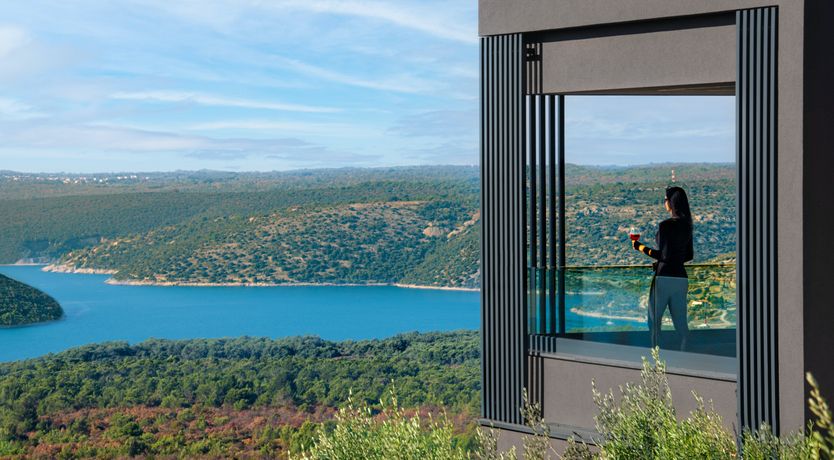 Photo of The Tomato Tree