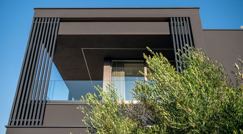 Photo of The Tomato Tree