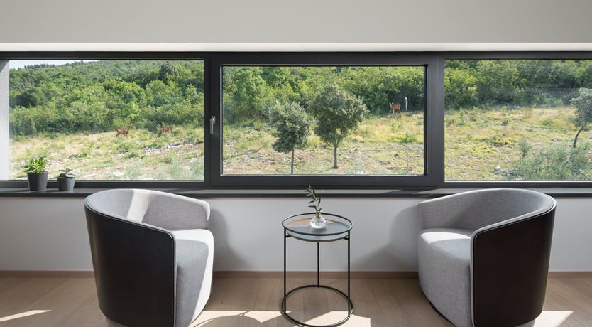 Photo of The Tomato Tree