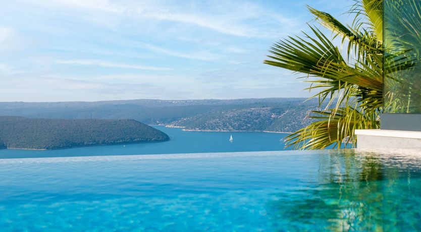 Photo of The Tomato Tree