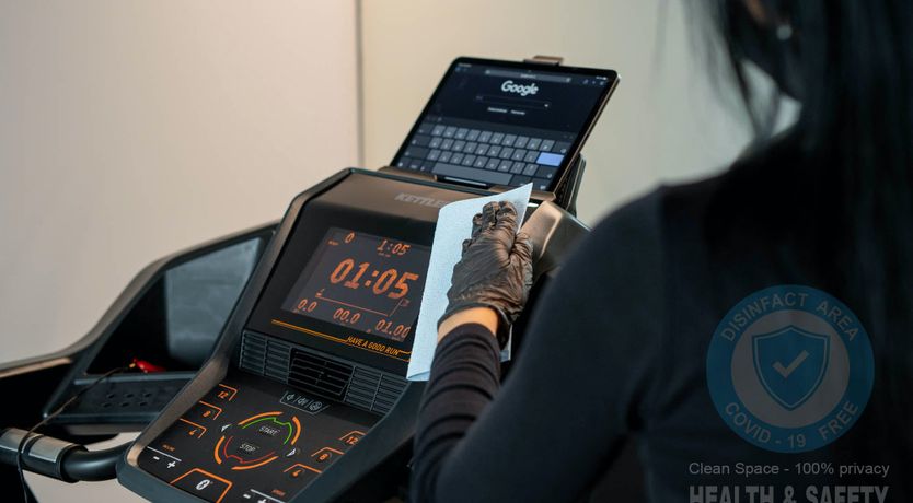 Photo of The Tomato Tree