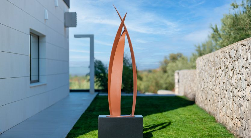 Photo of The Tomato Tree