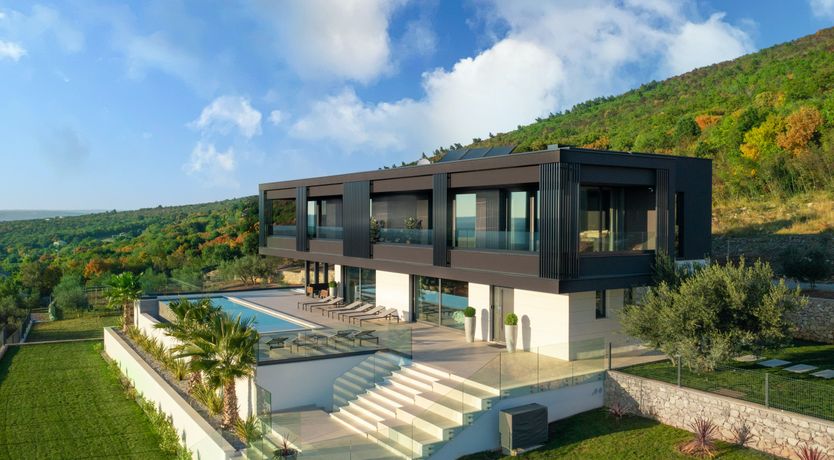 Photo of The Tomato Tree