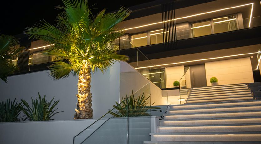 Photo of The Tomato Tree