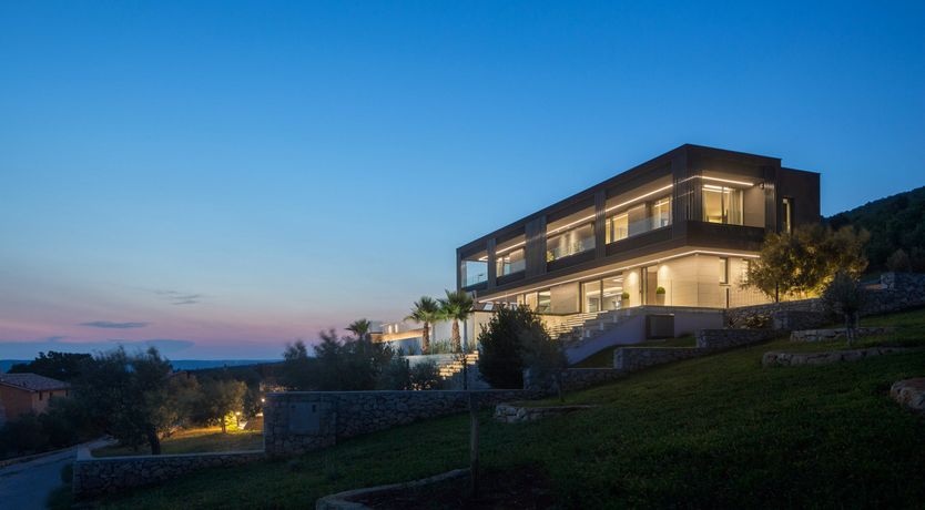 Photo of The Tomato Tree