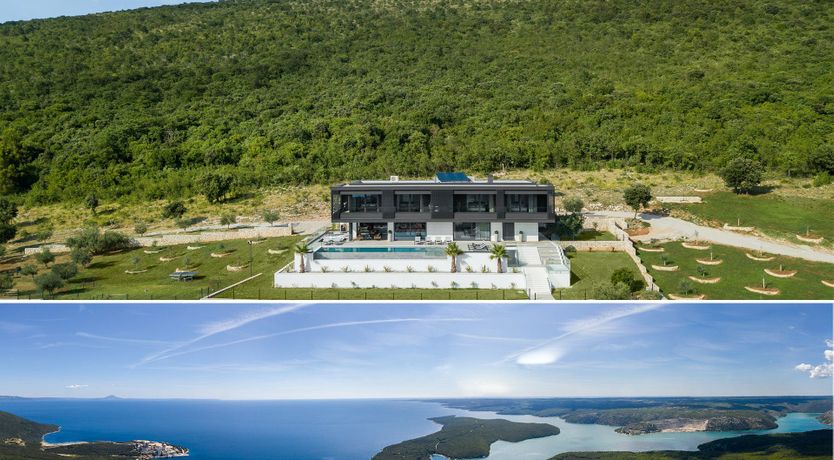 Photo of The Tomato Tree