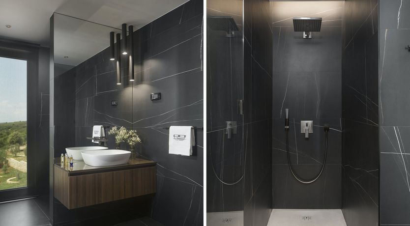 Photo of The Tomato Tree