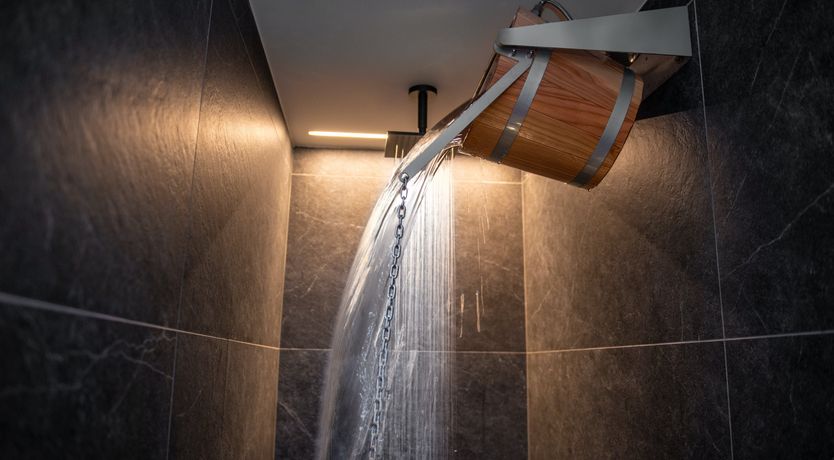 Photo of The Tomato Tree