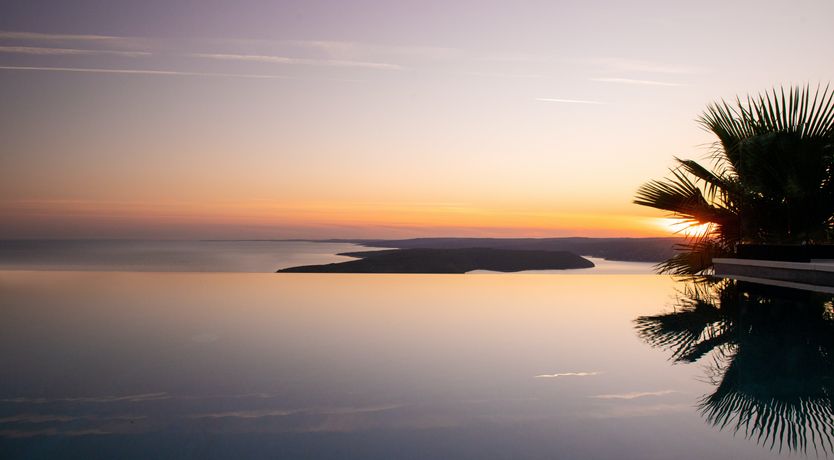 Photo of The Tomato Tree