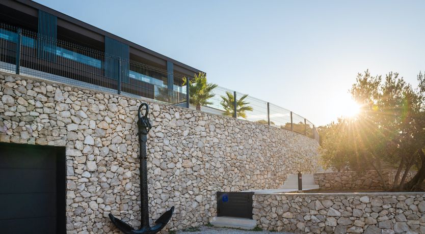 Photo of The Tomato Tree