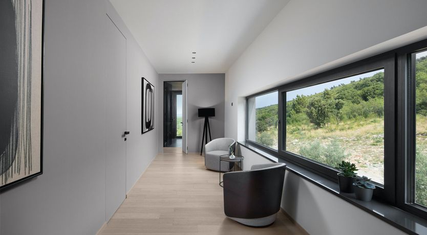 Photo of The Tomato Tree