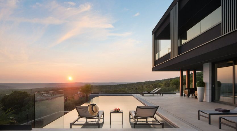 Photo of The Tomato Tree