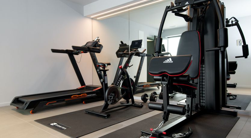 Photo of The Tomato Tree