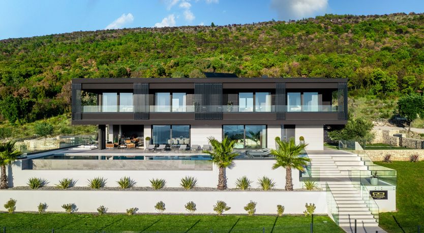 Photo of The Tomato Tree