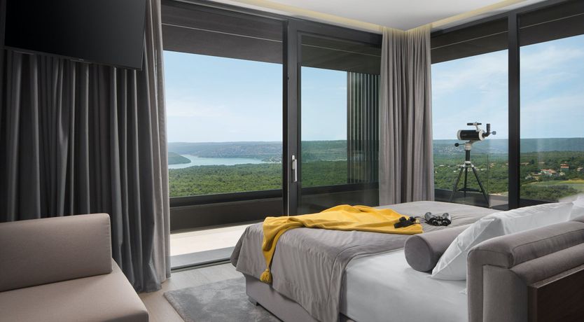 Photo of The Tomato Tree