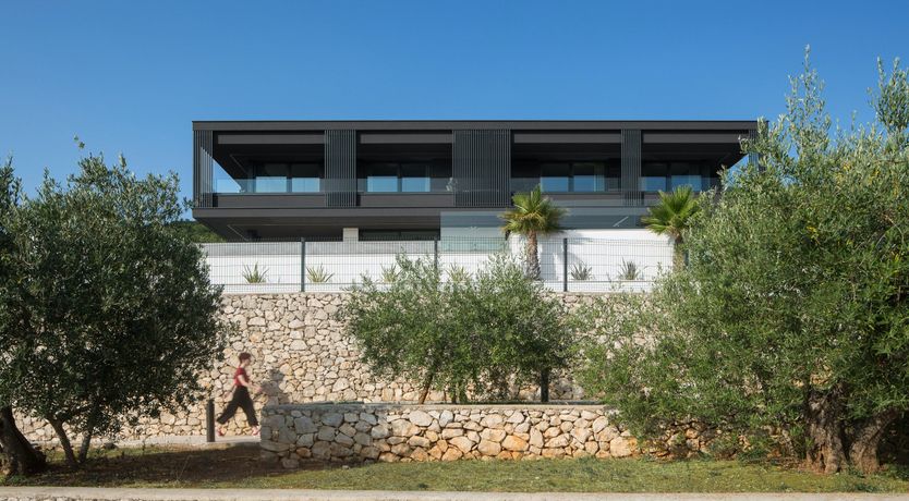 Photo of The Tomato Tree