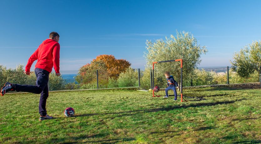 Photo of The Tomato Tree