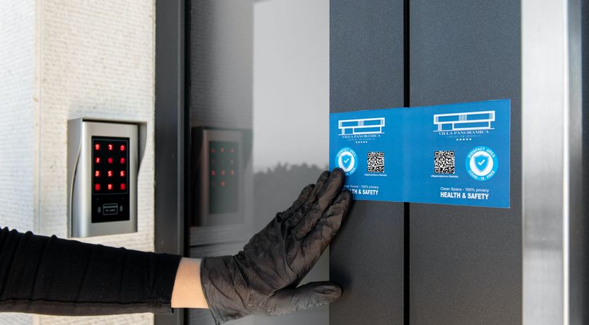 Photo of The Tomato Tree