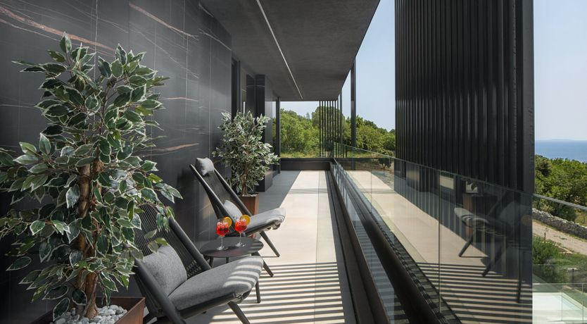 Photo of The Tomato Tree