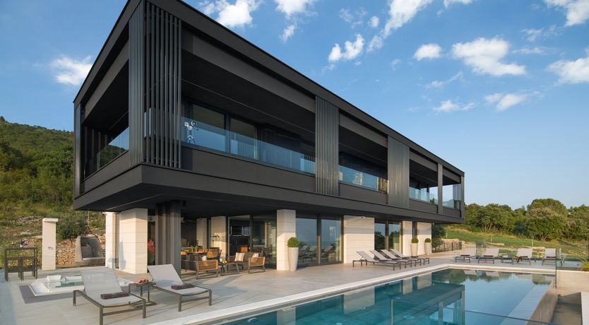 Photo of The Tomato Tree