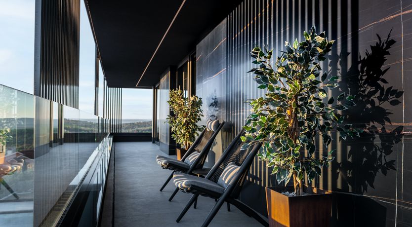 Photo of The Tomato Tree