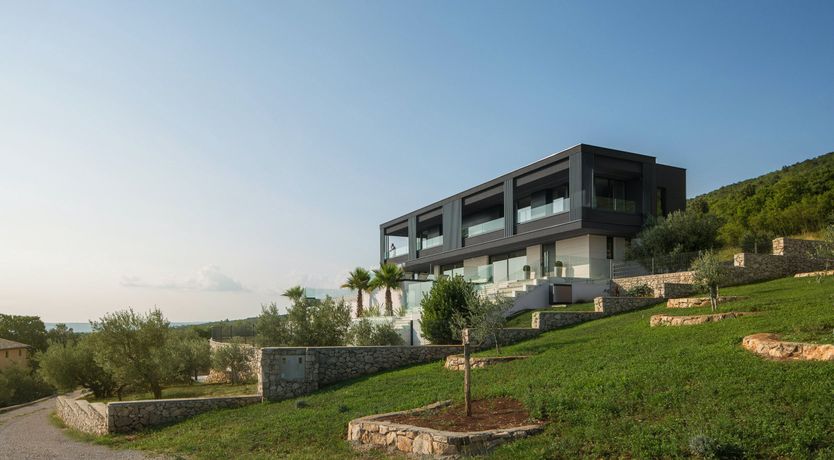 Photo of The Tomato Tree