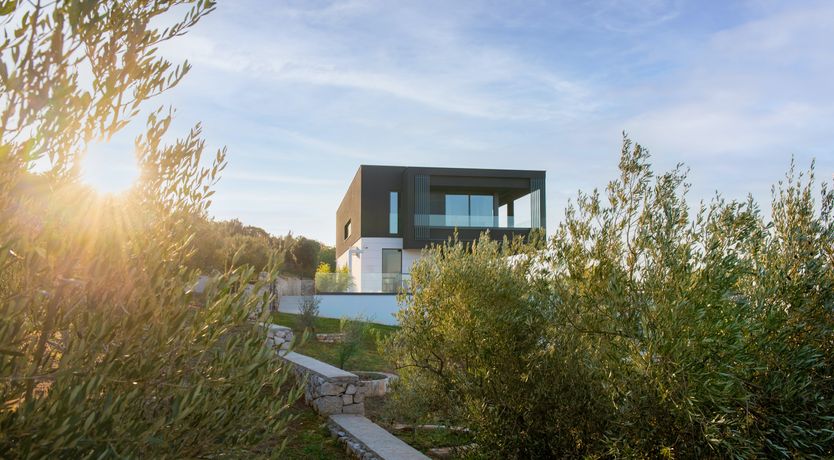 Photo of The Tomato Tree