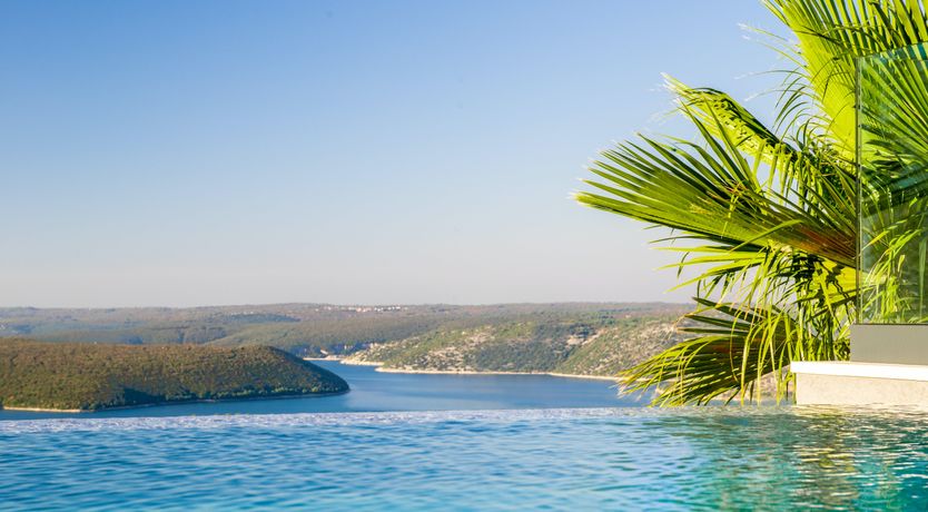 Photo of The Tomato Tree