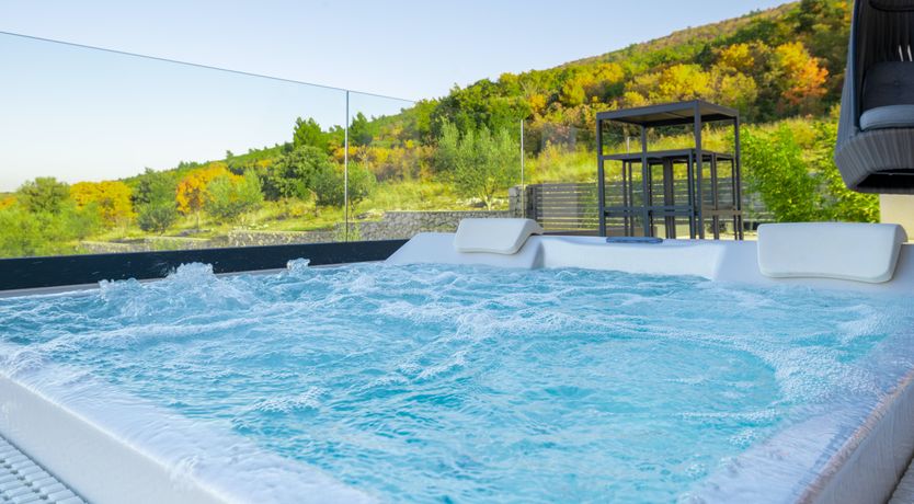 Photo of The Tomato Tree