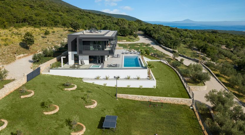 Photo of The Tomato Tree