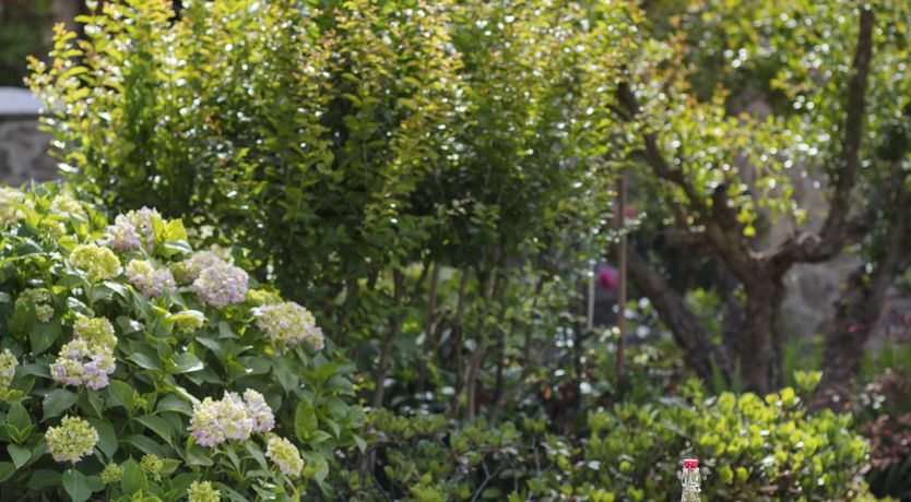 Photo of A Magic Touch