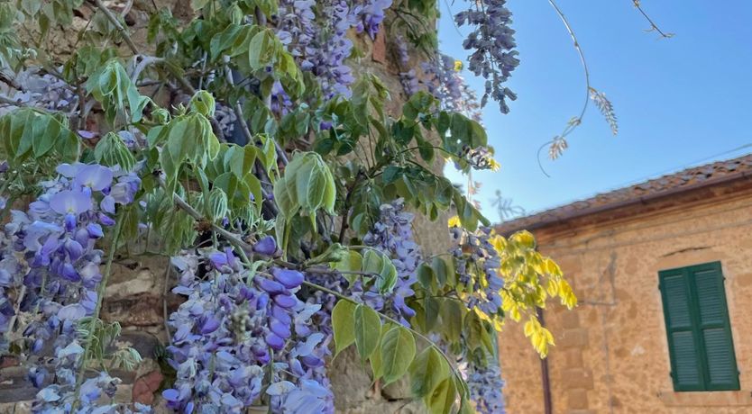 Photo of A Magic Touch