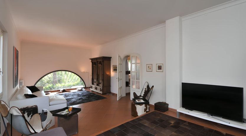 Photo of Sweet Orange Peel