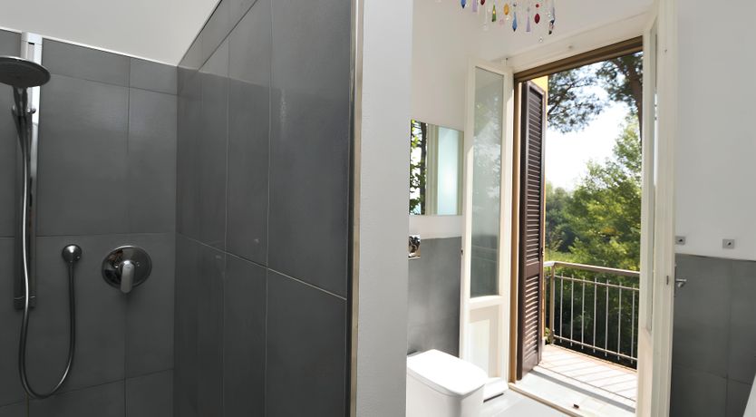 Photo of Sweet Orange Peel